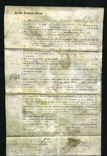 Court of Common Pleas - Ann Reeve, Jane Whitehouse-Original Ancestry