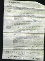 Court of Common Pleas - Ellen Read-Original Ancestry