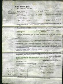 Court of Common Pleas - Ann Barbara Bower-Original Ancestry