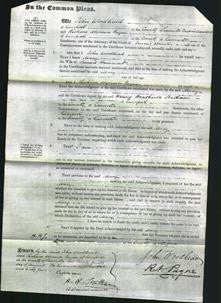 Court of Common Pleas - Mary Beaumont-Original Ancestry