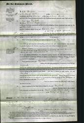 Court of Common Pleas - Elizabeth Taylor-Original Ancestry