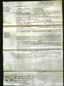 Court of Common Pleas - Elizabeth Balding #2-Original Ancestry