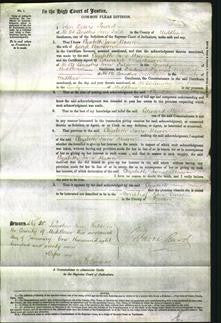 Court of Common Pleas - Elizabeth Jane Brendon-Original Ancestry