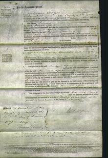 Court of Common Pleas - Jemima Spear-Original Ancestry