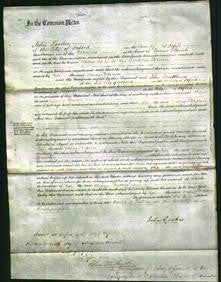 Court of Common Pleas - Mary Brown-Original Ancestry