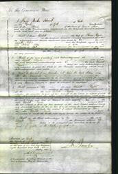 Court of Common Pleas - Elizabeth Higgins-Original Ancestry