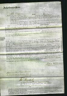 Court of Common Pleas - Jane Hughes-Original Ancestry