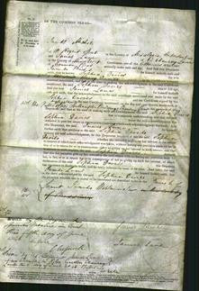 Court of Common Pleas - Sophia Davies-Original Ancestry