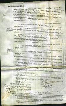 Court of Common Pleas - Maria Simon-Original Ancestry