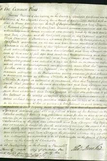 Court of Common Pleas - Ann Marshall and Lucy Sprague-Original Ancestry