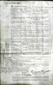 Court of Common Pleas - Lucy Ann O'Brian-Original Ancestry