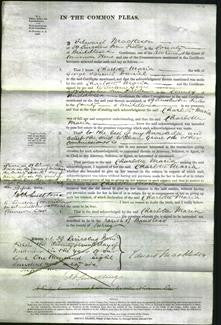 Court of Common Pleas - Charlotte Maria Daniel-Original Ancestry