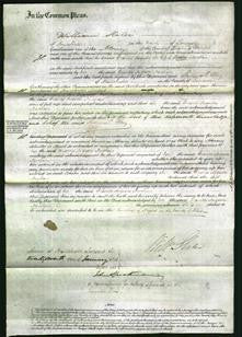 Court of Common Pleas - Frances Augusta Newsham-Original Ancestry