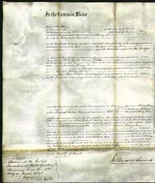 Court of Common Pleas - Mary Ann Wardlaw-Original Ancestry