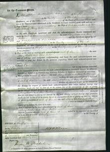 Court of Common Pleas - Mary Bates and Ann Fuller-Original Ancestry