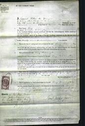Court of Common Pleas - Lucy Ridlington-Original Ancestry