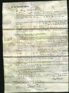 Court of Common Pleas - Frances Mary Weeks-Original Ancestry