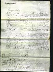 Court of Common Pleas - Margaret Burroughs-Original Ancestry