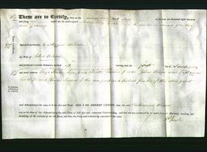 Deed by Married Women - Catherine Wilson-Original Ancestry