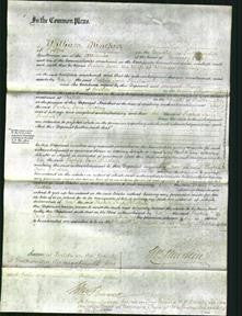 Court of Common Pleas - Sophia Jane Sinclair-Original Ancestry