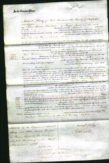 Court of Common Pleas - Ann Storey-Original Ancestry