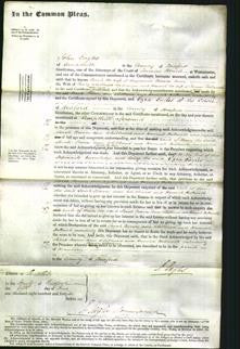 Court of Common Pleas - Sarah Brown, Ann Whitbread and Hannah Hallworth-Original Ancestry