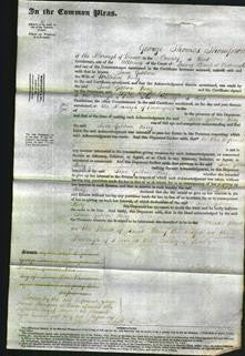 Court of Common Pleas - Jane Gibbon King-Original Ancestry