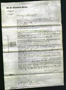 Court of Common Pleas - Henrietta Smith-Original Ancestry