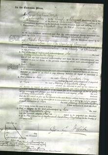 Court of Common Pleas - Mary Elizabeth Spry Symons-Original Ancestry