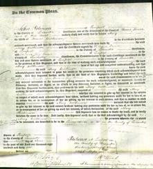 Court of Common Pleas - Mary Wilkinson-Original Ancestry