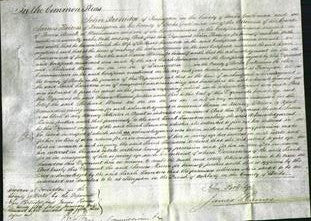 Court of Common Pleas - Sarah Saunders-Original Ancestry