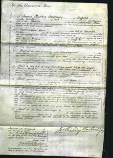 Court of Common Pleas - Jane Dodson-Original Ancestry
