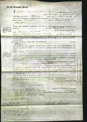 Court of Common Pleas - Elizabeth Marsden-Original Ancestry