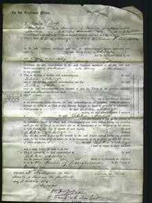 Court of Common Pleas - Letitia Adeliza Richardson-Original Ancestry