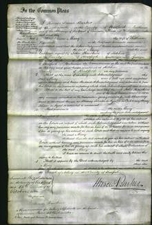 Court of Common Pleas - Mary Randall-Original Ancestry