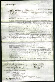 Court of Common Pleas - Sarah Norman-Original Ancestry