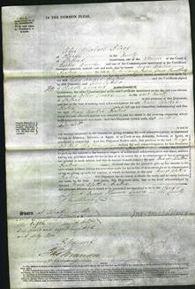 Court of Common Pleas - Mary Alathea Beatrix Pamphily-Original Ancestry