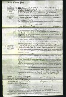 Court of Common Pleas - Eliza Proctor-Original Ancestry