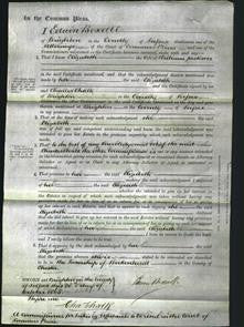 Court of Common Pleas - Elizabeth Jackson-Original Ancestry