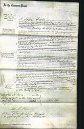 Court of Common Pleas - Dorothy Banks-Original Ancestry