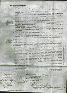 Court of Common Pleas - Sarah Buckley and Hannah Ramsell-Original Ancestry