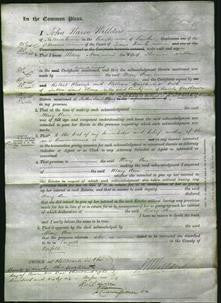 Court of Common Pleas - Mary Ann Sutton-Original Ancestry