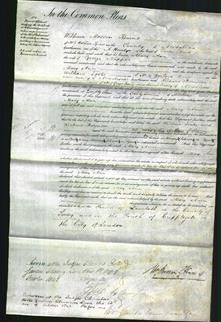 Court of Common Pleas - Mary Ann Napper-Original Ancestry