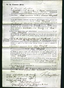 Court of Common Pleas - Jane Blomfield-Original Ancestry