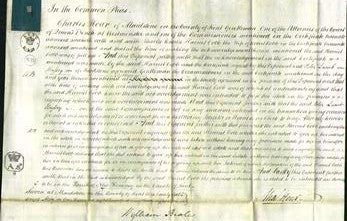 Court of Common Pleas - Harriet Cobb-Original Ancestry