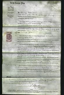 Court of Common Pleas - Elizabeth Mary Checkley-Original Ancestry