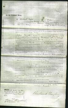 Court of Common Pleas - Mary Beddows-Original Ancestry