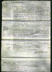 Court of Common Pleas - Elizabeth Butler-Original Ancestry