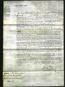 Court of Common Pleas - Maria Lunn-Original Ancestry