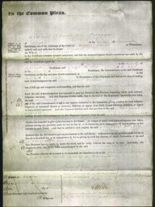 Court of Common Pleas - Margaret Gaskell-Original Ancestry